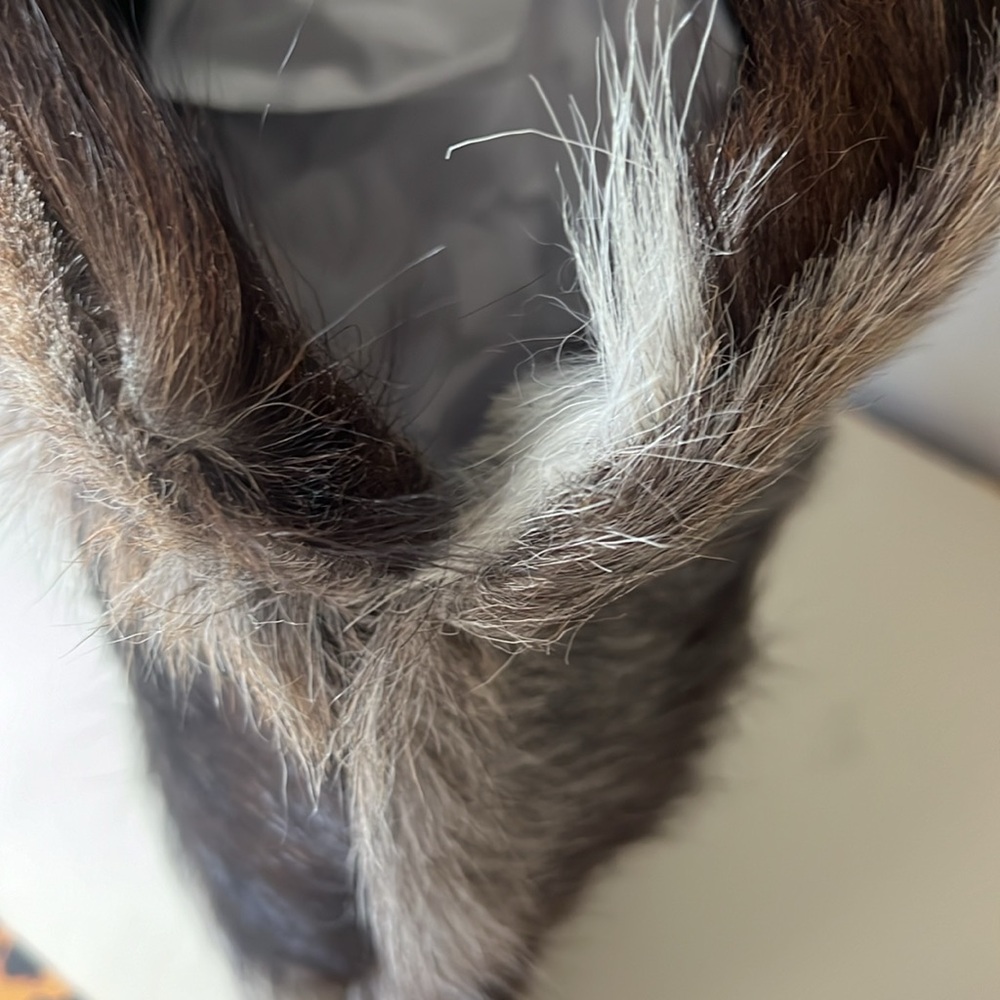 •⬇️FINAL PRICE⬇️NO OFFERS FIRM⬇️VINTAGE GENUINE FUR BAG BOHO FESTIVAL• - Picture 3 of 15